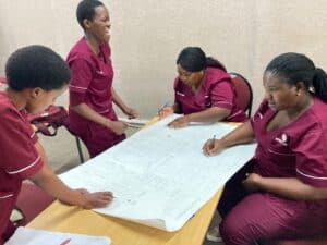 Health Promotion Officer colloborating with each other
